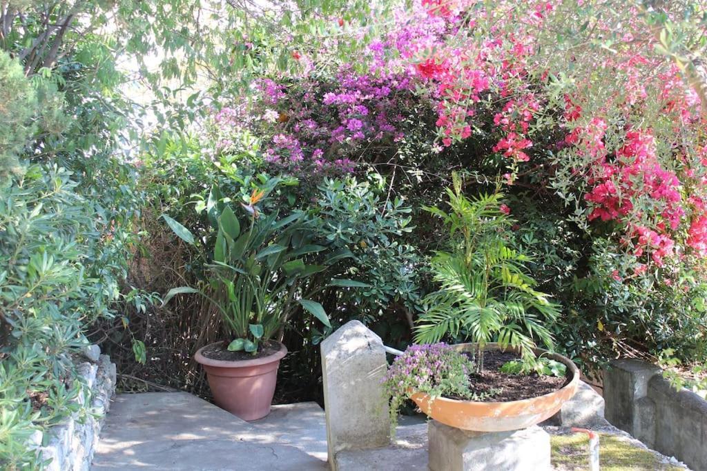 Casa Letizia Apartment ตาออร์มินา ภายนอก รูปภาพ